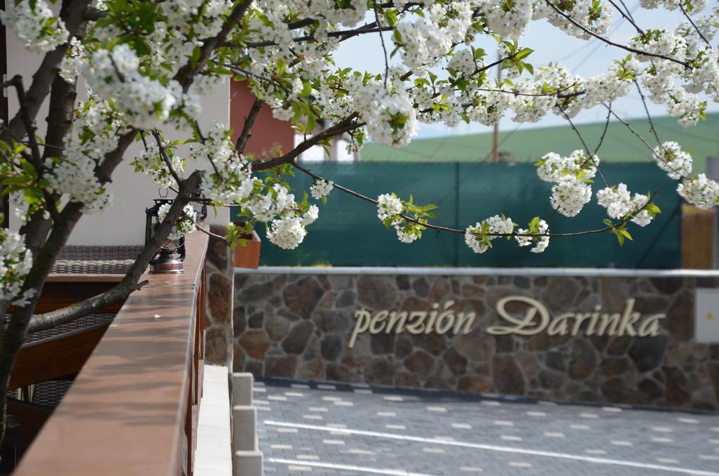 Penzion Darinka ポプラト エクステリア 写真